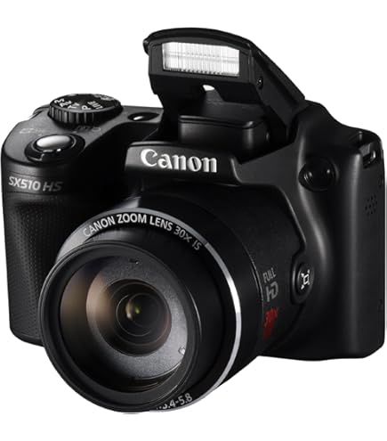 Canon PowerShot SX500 IS Digital Camera - Black (16.0 MP, 30x